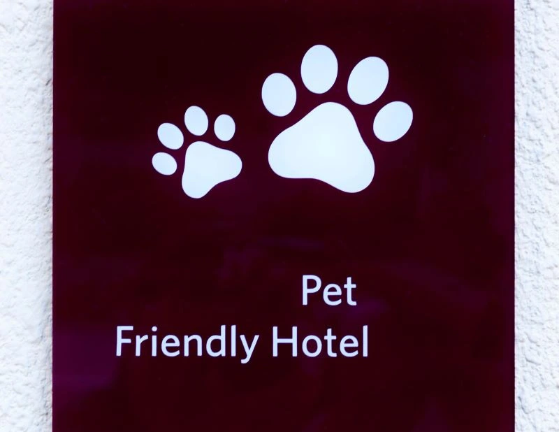 Experience Pet-Friendly Hospitality in Waco, Texas