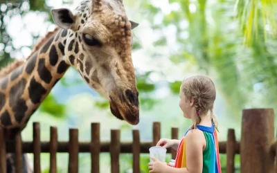 Cameron Park Zoo in Waco: Wild Adventures Await