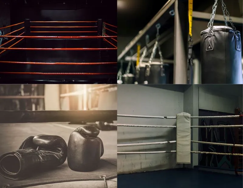 Local Boxing Gyms Collage