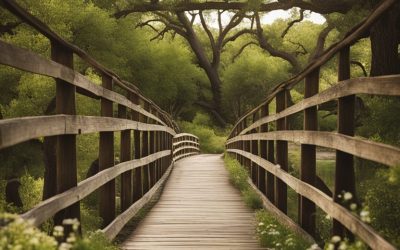 Chisholm Trail Brazos in Waco: Historical Legacy