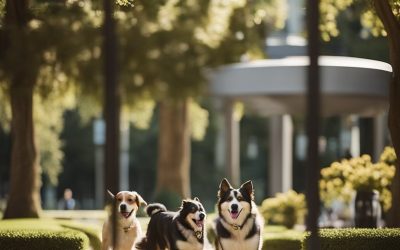 Dog-Friendly Parks in Waco: Canine-Friendly Adventures