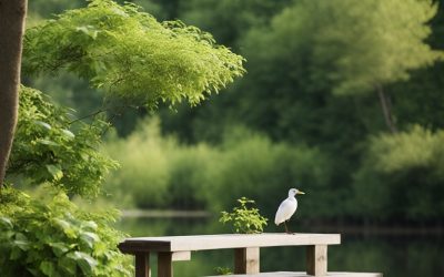 Best Parks in Waco for Bird Enthusiasts: Top Birdwatching Spots