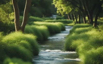 World Water Day Waco Texas (2025): Local Efforts for Clean Water