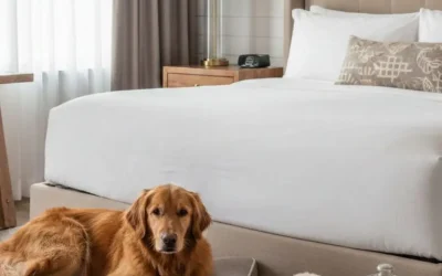 Best Pet-Friendly Upscale & Boutique Hotels in Waco Texas (2026 Guide)