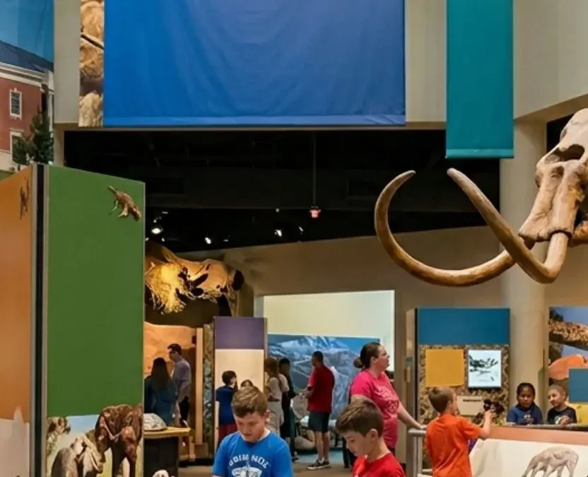 A wide shot of the Mayborn Museum Complex Exhibits Waco Texas, featuring a large mammoth skeleton centerpiece, interactive science displays, and visitors exploring the hall.
